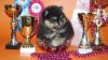 Bell Glory Ledi Margaret Layn