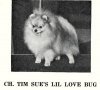 Tim Sue's Lil Love Bug