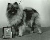 Keestorpets Madonna