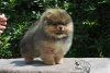 Irins Fluffi Best Ofze Best