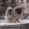 Almaznyy Istochnik Dragotsennaya Malyshka