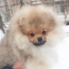 Kayzer