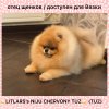 Litlar's Niju Chervony Tuz