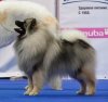 Russkoe Serebro Helgi Ulf