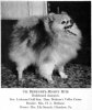 Bethune's Mighty Mite