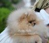Sweet Pich Dzuzeppe Kaliostro