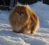 Onli My Pom Lends Svit Smayl