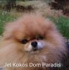 Jet Kokos Dom Paradis