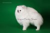Selena White Ot Pandy Sharm