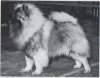 Keestorpets Don Juan