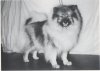 Älvtorpets Cherie