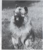 Kittihof's Mary Lou
