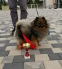 Hippi Pom Izzi Top