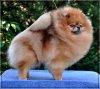 Pomstyle Never Gonna Give You Up