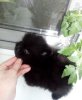 Emit