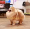 Top-Dolls Gallardo Gatto