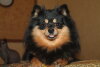 Roxy Favorite Girl