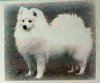 Marshallvale Eyumi
