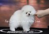 Top-Dolls Tabita White Love