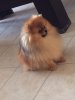 Mon Estelle Rich And Famous