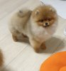 Mari De Rossi Garri Poter