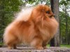 Kon-Fetti Adele Skyfall