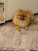 Danya Iz Oblaka Nad Nevoy
