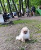 Erfan Iz Oblaka Nad Nevoy