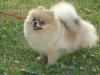 Star Ginter Ketti Keych
