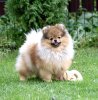 Doudou Mignonne Mishel'