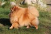 Angelik Ayz Mon Sheri Enzhi