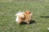 Holli Onli You Dlja Funny Cloud