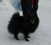 Takaya Topotushka Tiara
