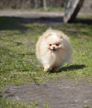 Cheroki Yudzhin S Berendeevoy Slobody