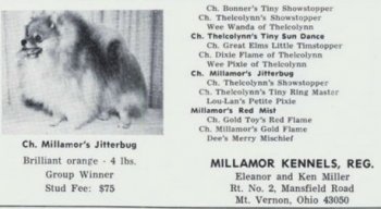 Millamor's Jitterbug