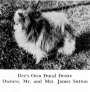 Dee's Own Ducal Desire