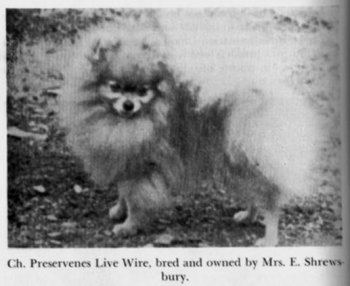 Preservenes Live Wire