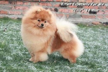 Kitlen Especially For Me