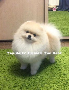 Top-Dolls' Eminem The Best