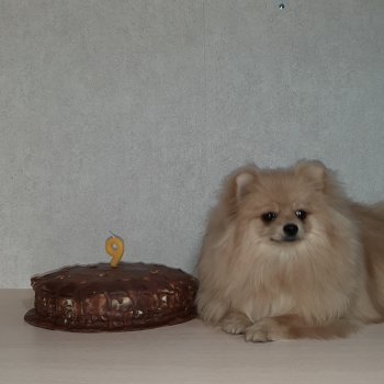 Una Debora Pom's S Rublevki