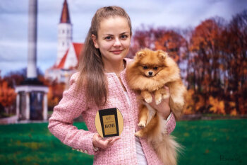 Zest Sweet Isabelle Junassland