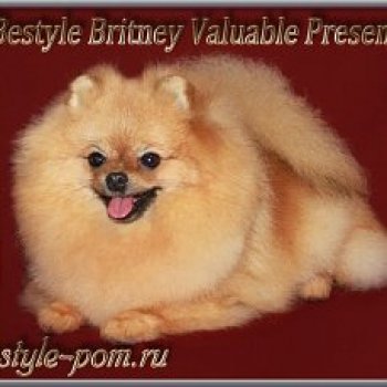 Bestayl Britni Velyuebl Prezent